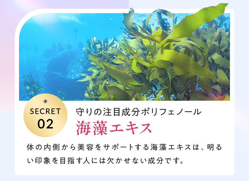 守りの注目成分ポリフェノール海藻エキス