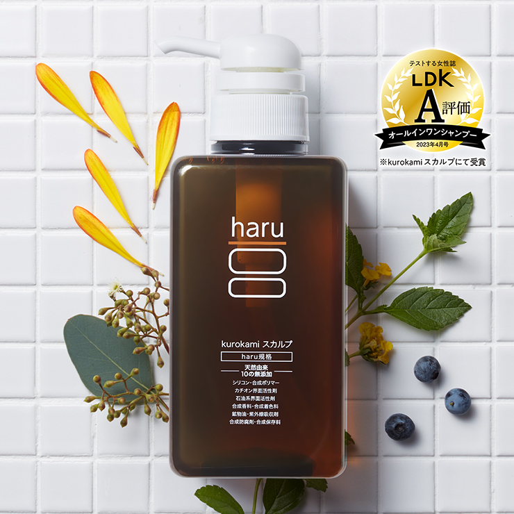【定期】kurokamiスカルプ400mL