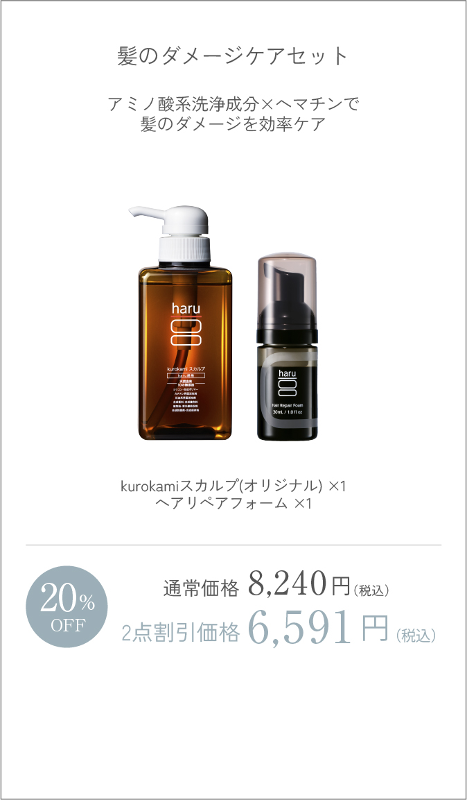 髪のダメージケアセット