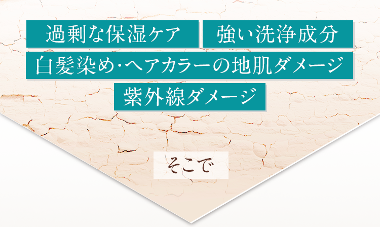 「過剰な保湿ケア」「強い洗浄成分」「白髪染め・ヘアカラーの地肌ダメージ」「紫外線ダメージ」そこで!