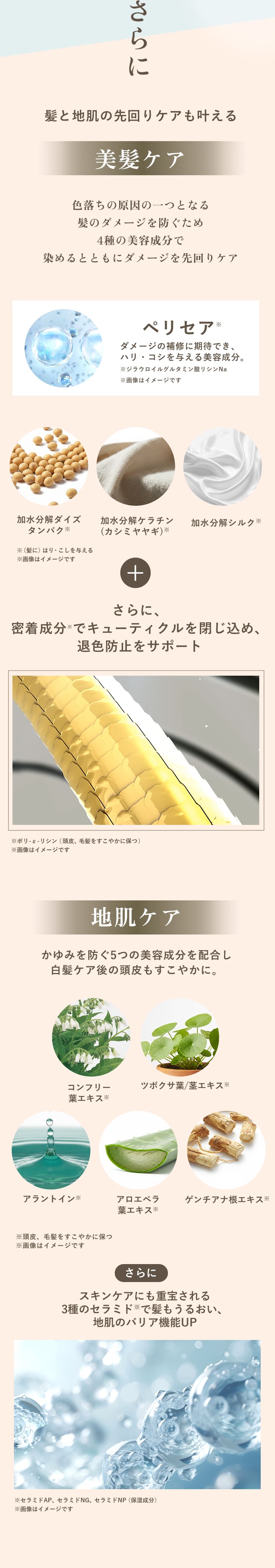 さらに 美髪ケア 地肌ケア