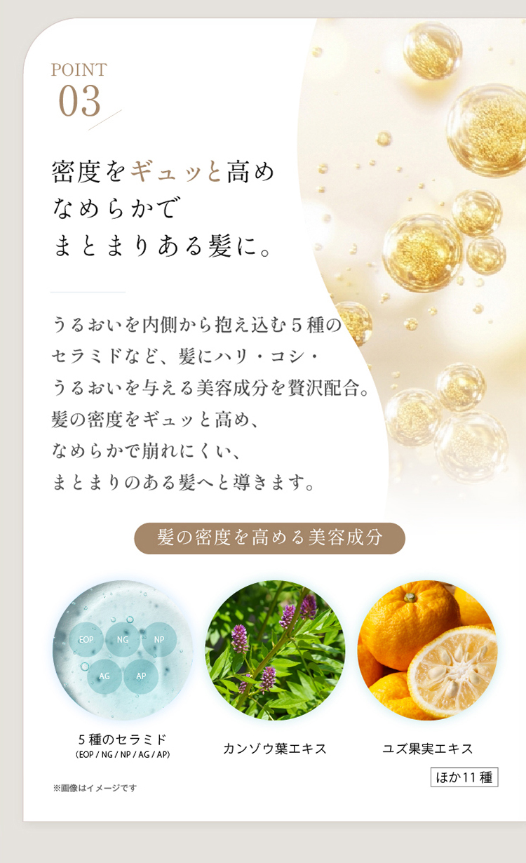 POINT02