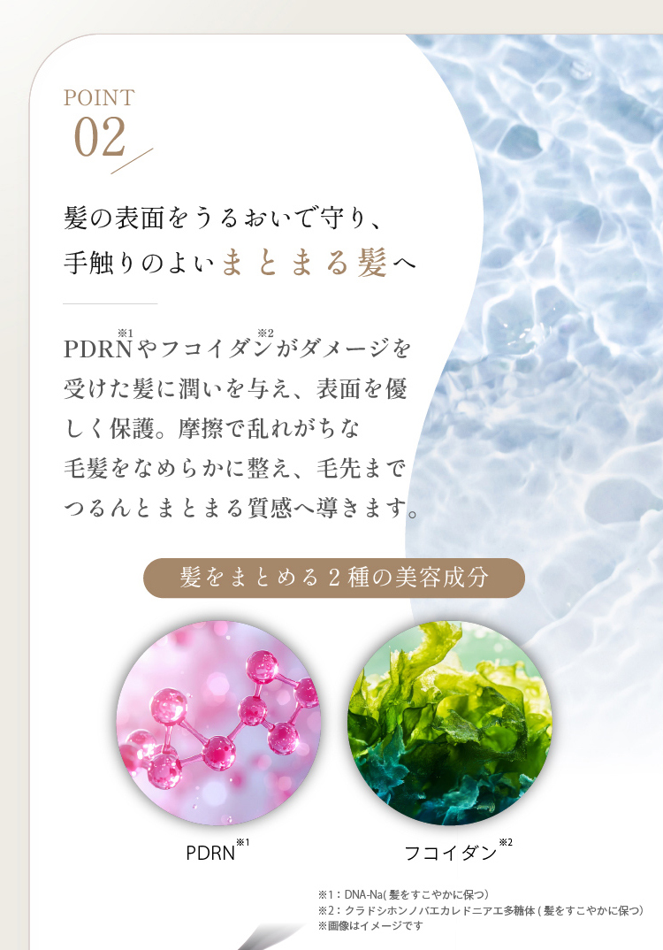 POINT01 即効補修を叶えるヘマチンを高配合。髪に豊かなハリとコシを与える。