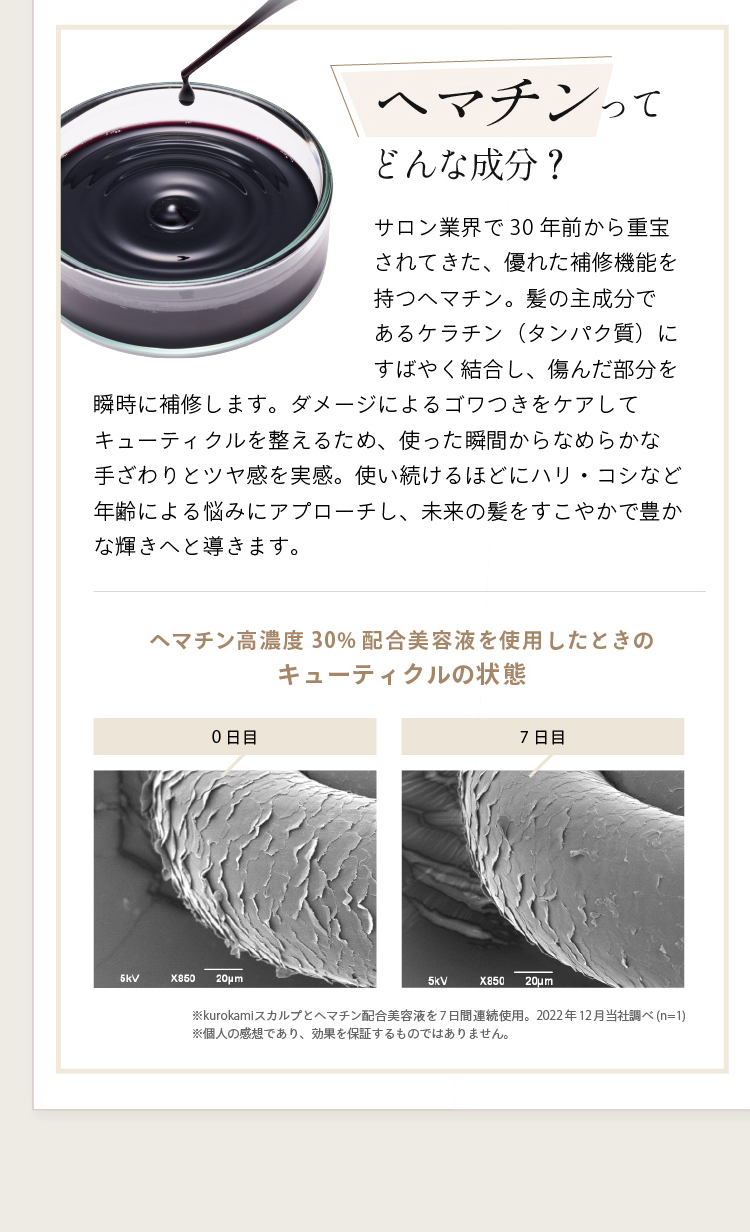 POINT02 ヘマチンってどんな成分？