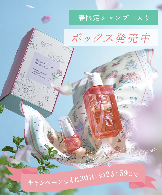 春限定シャンプーキャンペーン