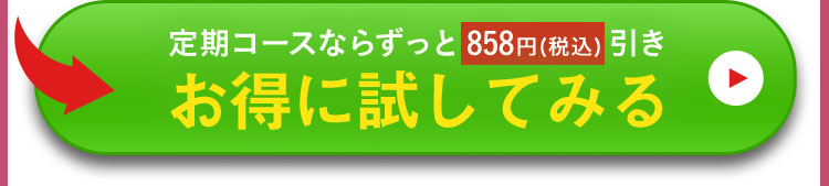 お得に試してみる