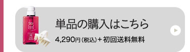 単品の購入はこちら