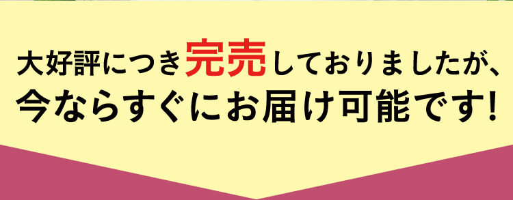 大好評につき完売しておりましたが、今ならすぐにお届け可能です！