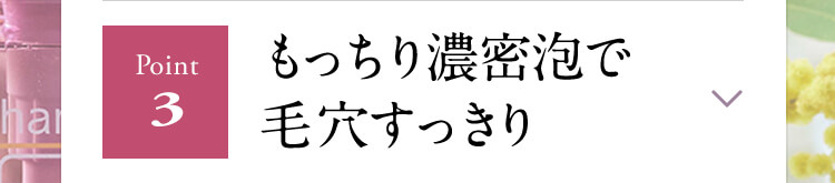 【Point３】もっちり濃密泡で毛穴すっきり