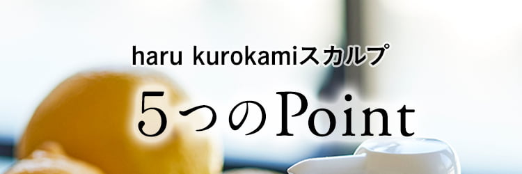 haru　kurokamiスカルプ「5つのPoint」
