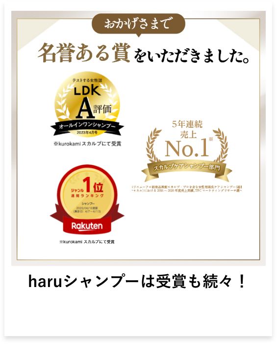 名誉ある受賞を頂きました。