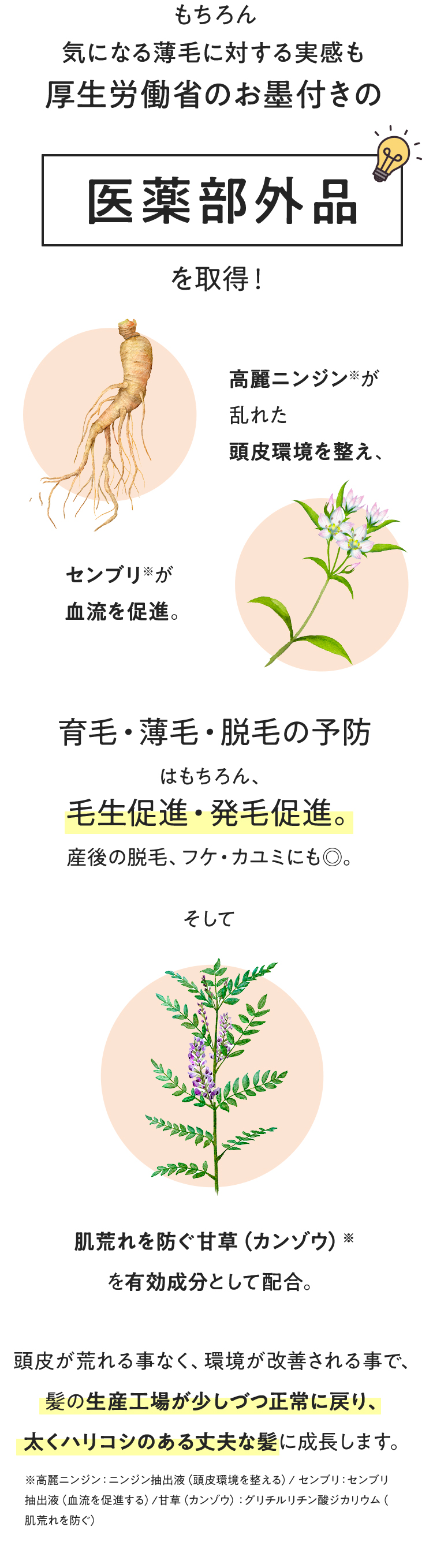 もちろん、気になる薄毛に対する実感も厚生労働省のお墨付きの「医薬部外品」を取得！高麗ニンジン※が乱れた頭皮環境を整え、センブリ※が血流を促進。育毛・薄毛・脱毛の予防はもちろん、毛生促進・発毛促進。産後の脱毛、フケ・カユミにも◎。そして、肌荒れを防ぐ甘草（カンゾウ）※を有効成分として配合。頭皮が荒れる事もなく、環境が改善される事で、髪の生産工場が少しづつ正常に戻り、太くハリコシのある丈夫な髪に成長します。※高麗ニンジン・ニンジン抽出液（頭皮環境を整える）/センブリ：センブリ抽出液（血流を促進する）/甘草（カンゾウ）：グリチルリチン酸ジカリウム（肌荒れを防ぐ）