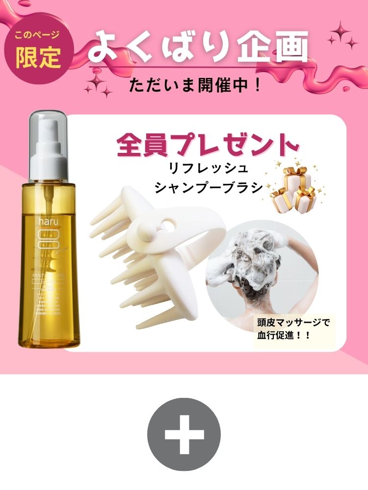 よくばり企画ただいま開催中！