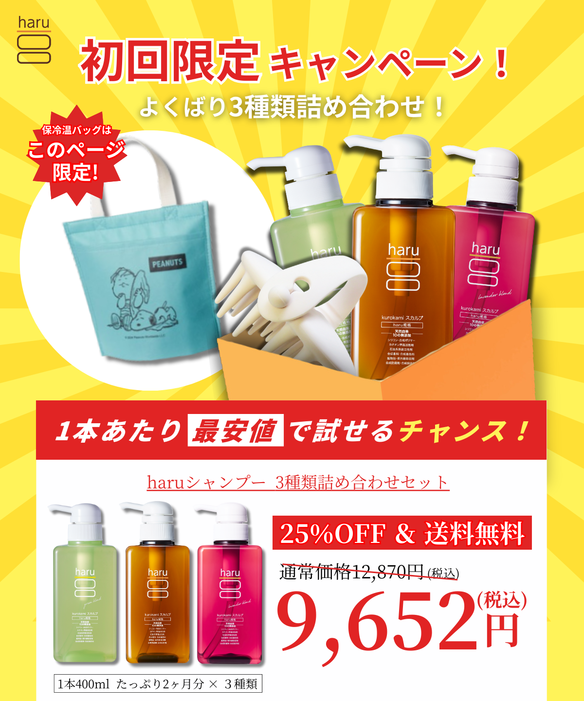 夏の初回限定キャンペーン！よくばり3種類詰め合わせ！