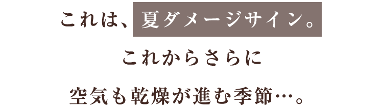 これは、夏ダメージサイン。これからさらに空気も乾燥が進む季節