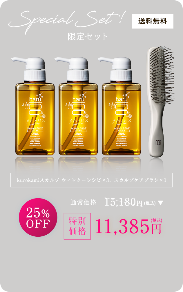 kurokamiスカルプ ウィンターレシピ×3、スカルプケアブラシ×1