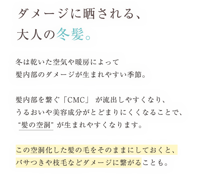 ダメージにさらされる大人の冬髪