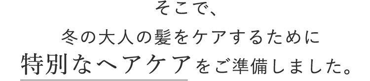 そこで、冬の大人の髪をケアために特別なヘアケアをご準備しました。