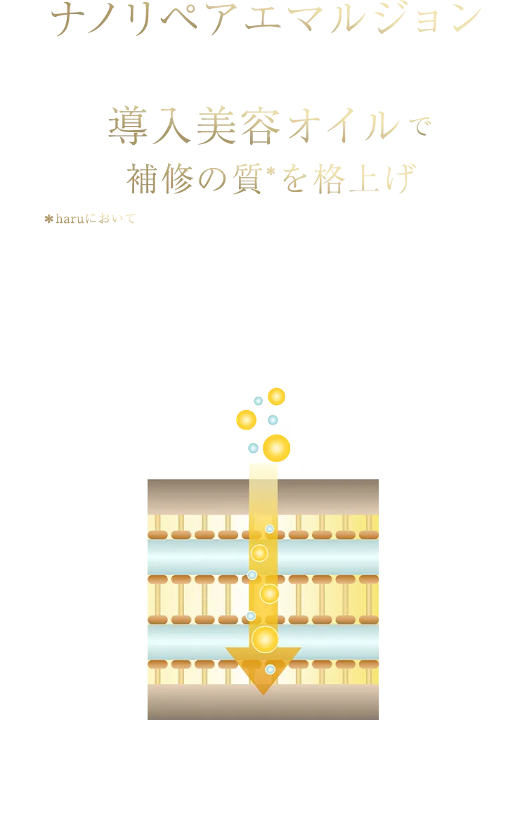 ナノリペアエマルジョン×導入美容オイルで補修の質を格上げ