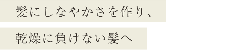 髪にしなやかさを作り、乾燥に負けない髪へ