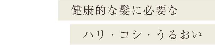 健康的な髪に必要なハリ・コシ・うるおい