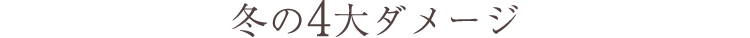 冬の4大ダメージ