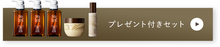 プレゼント月セット