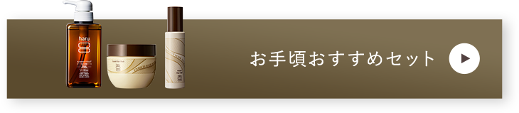 お手頃おすすめセット