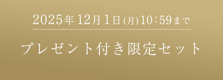 プレゼント限定セット