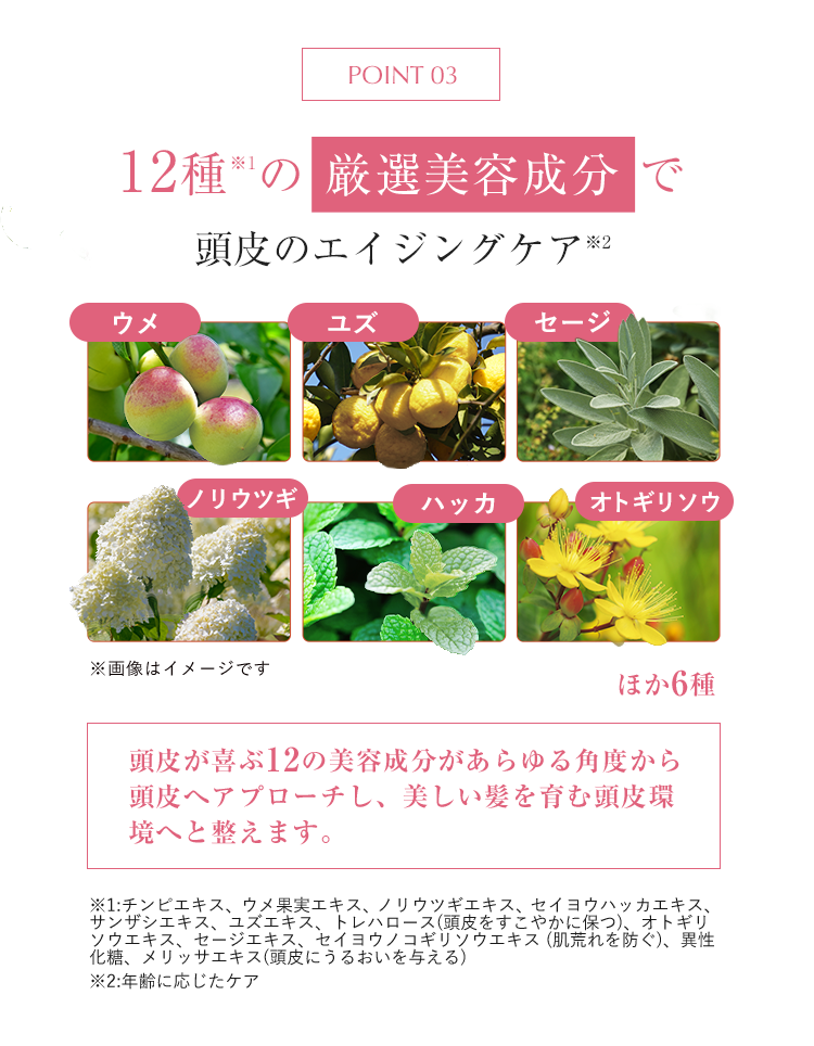 POINT03 12種の厳選美容成分で頭皮のエイジングケア