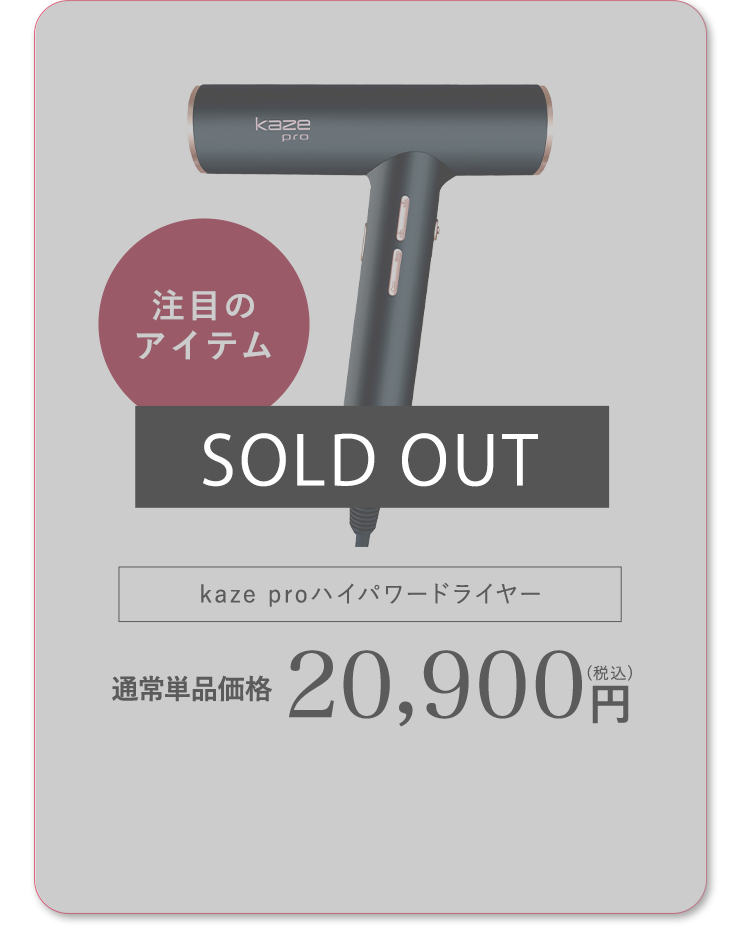 Kaze proハイパワードライヤー