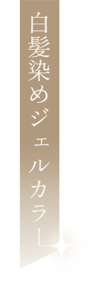 白髪染めジェルカラー