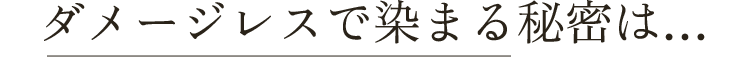 ダメージレスで染まる秘密は・・・