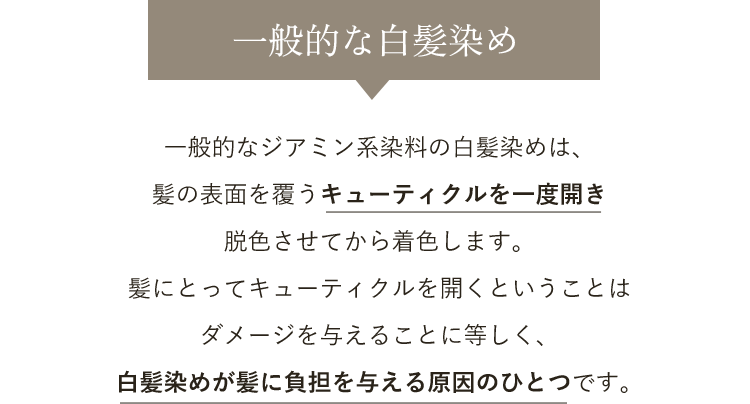一般的な白髪染め
