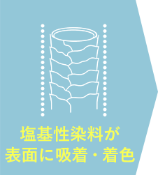 塩基性染料が表面に吸着・着色