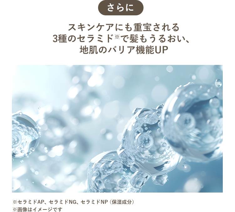 さらにスキンケアにも重宝される3種のセラミドで髪もうるおい、地肌のバリア機能UP