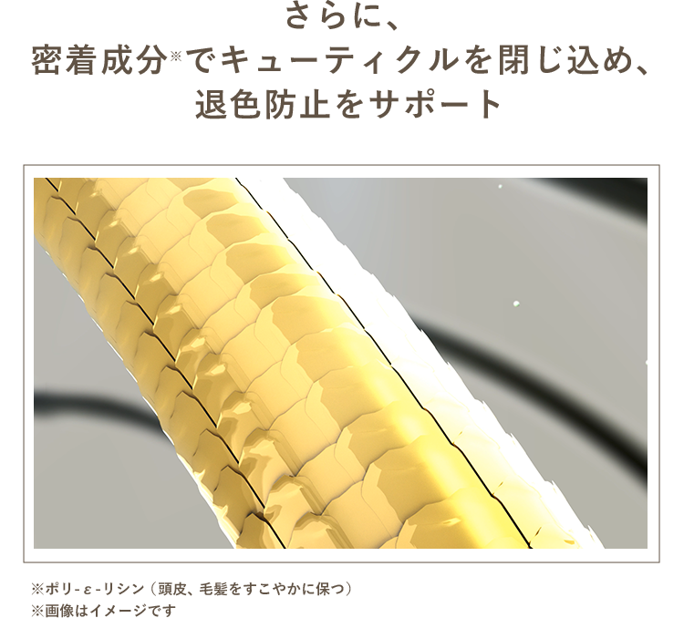 さらに、密着成分でキューティクルを閉じ込め、退色防止をサポート