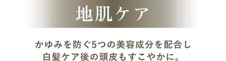 地肌ケア かゆみを防ぐ5つの美容成分を配合し白髪ケア後の頭皮もすこやかに。