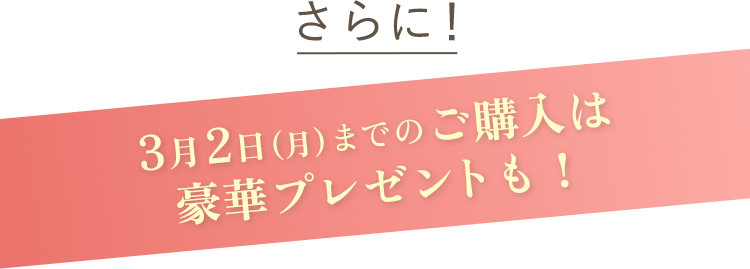 さらに3月2日(月)までのご購入は豪華プレゼントも！
