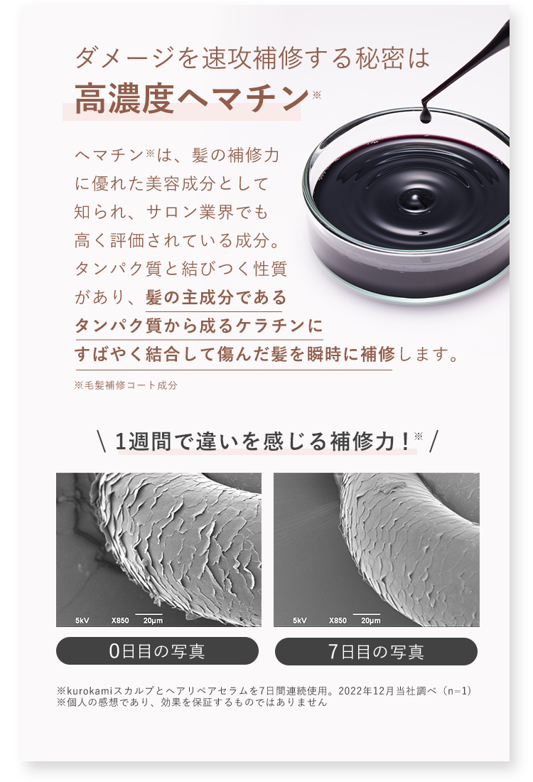 ダメージを速攻補修する秘密は高濃度ヘマチン※