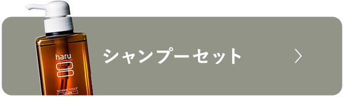シャンプーセット