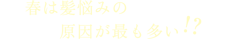 春は髪悩みの原因が最も多い