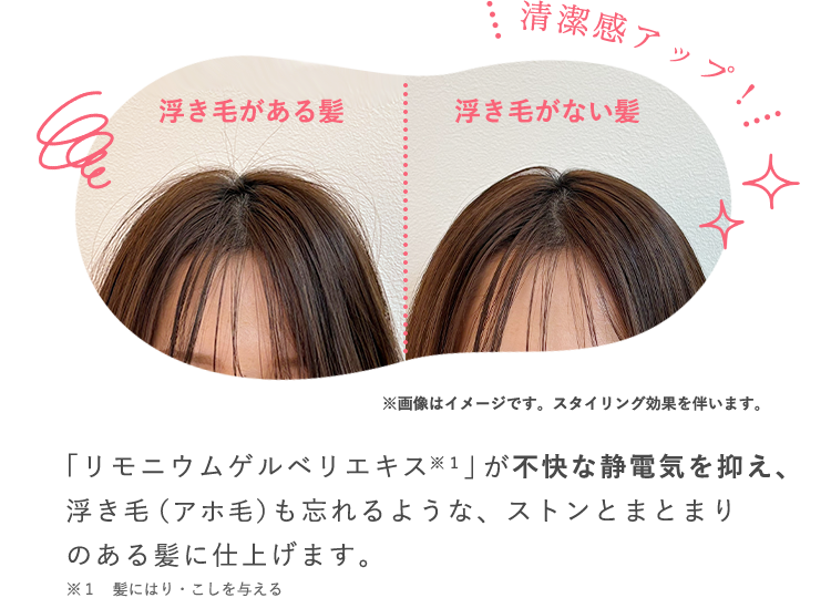 「リモニウムゲルベリエキス」が不快な静電気を抑え、浮き毛（アホ毛）も忘れるような、ストンとまとまりのある髪に仕上げます。