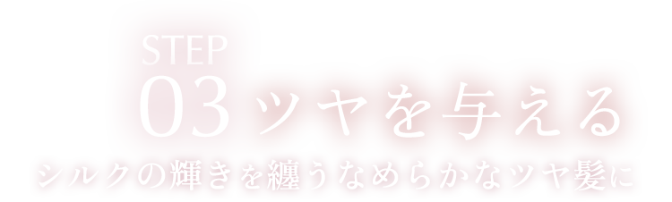 STEP03 ツヤを与える