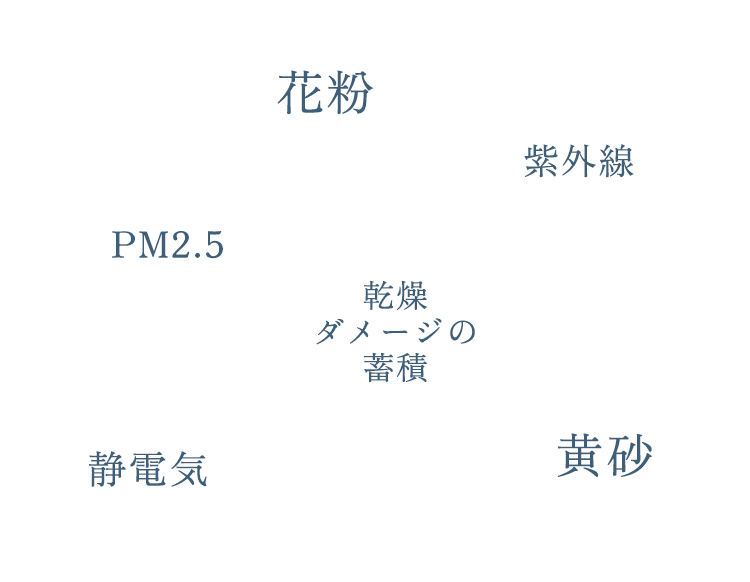 花粉、紫外線、PM2.5、乾燥ダメージの蓄積、静電気、黄砂