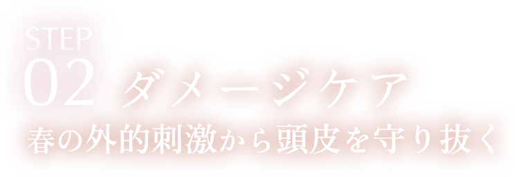 STEP02 ダメージケア