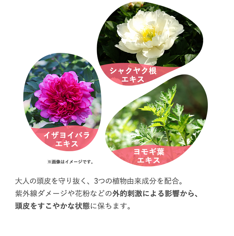 大人の頭皮を守り抜く、3つの植物由来成分を配合。紫外線ダメージや花粉などの外的刺激による影響から、頭皮をすこやかな状態に保ちます。