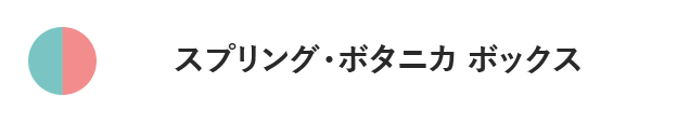スプリングボタニカボックス