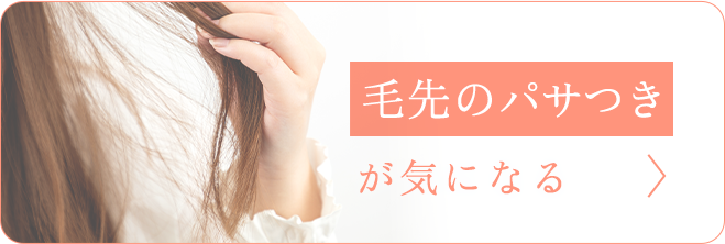 毛先のパサつきが気になる