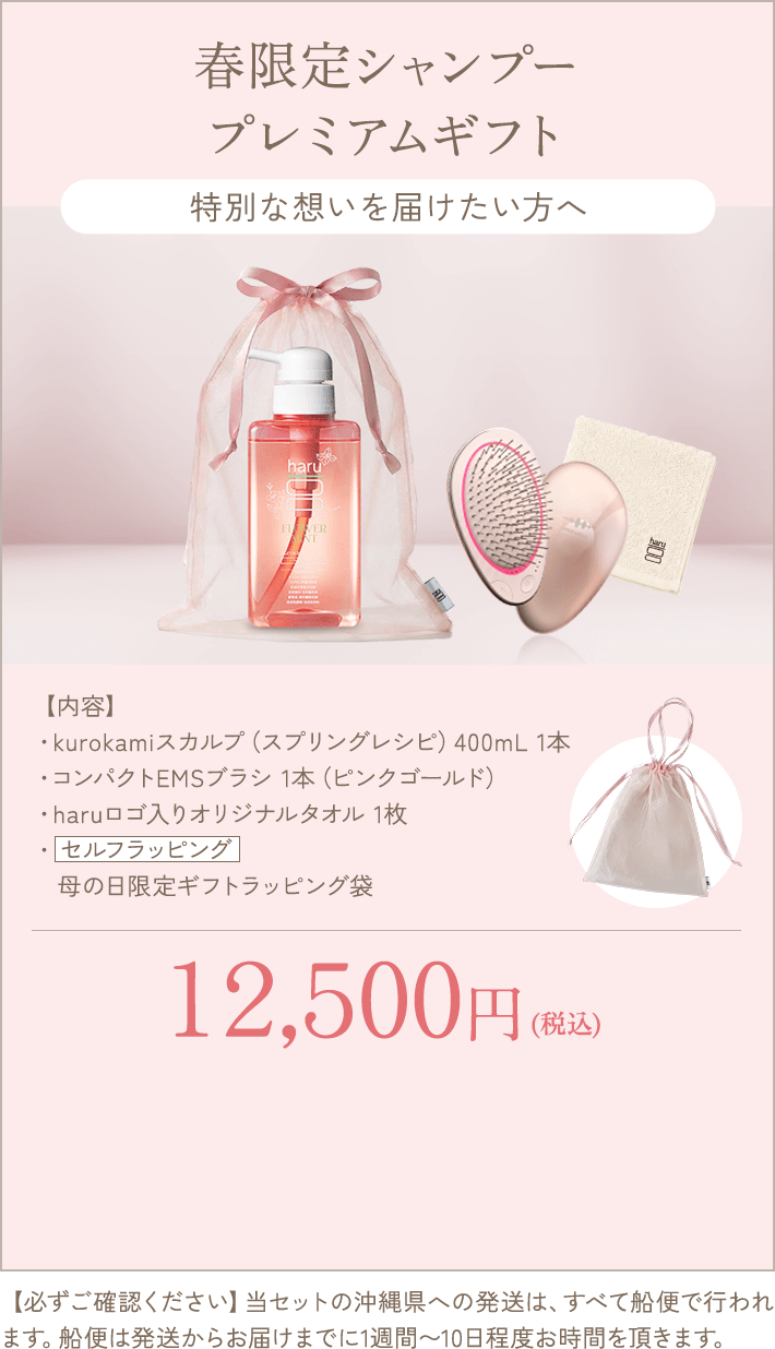 春限定シャンプープレミアムギフト  kurokamiスカルプ（スプリングレシピ）＆コンパクトEMSブラシ
